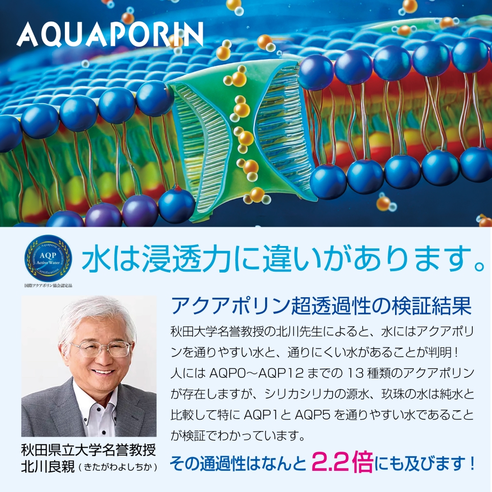 九州天然水 シリカシリカ 500ml×48本 天然水 シリカ 軟水 ミネラル 水 飲料水 美容 備蓄 防災 大分県 玖珠町 名水百選 湧水 ナチュラルミネラルウォーター コラーゲン ケラチン 生成 サポート シリカ含有 72mg/l 国内有数 シリカ水 アクアポリン 透過性 秋田県立大学 名誉教授 北川