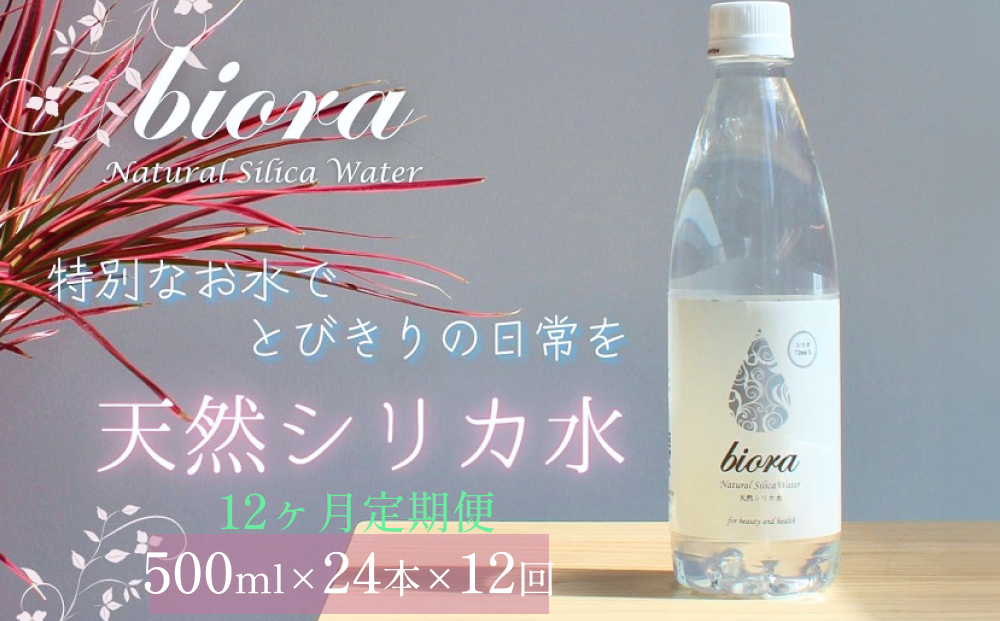 biora天然シリカ水 500ml×24本×12回 天然水 シリカ水 軟水 ミネラル 美容 健康 玖珠町 大分県 九州 自然 防災 備蓄 安全 人工添加物なし 72mg/リットル 含有 12ヶ月 美しい水 継続 吸収 効率 健康志向