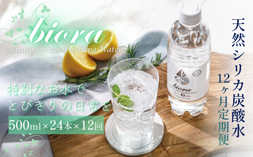 biora天然シリカ炭酸水 500ml×24本×12回 炭酸水 シリカ ミネラル 美容 飲料水 軟水 天然水 大分県 玖珠町 健康 九州 採水 防災 備蓄 定期便 500ml 72mg/l 硬度43.1 健康志向 酸素 吸収 継続 サプリメント