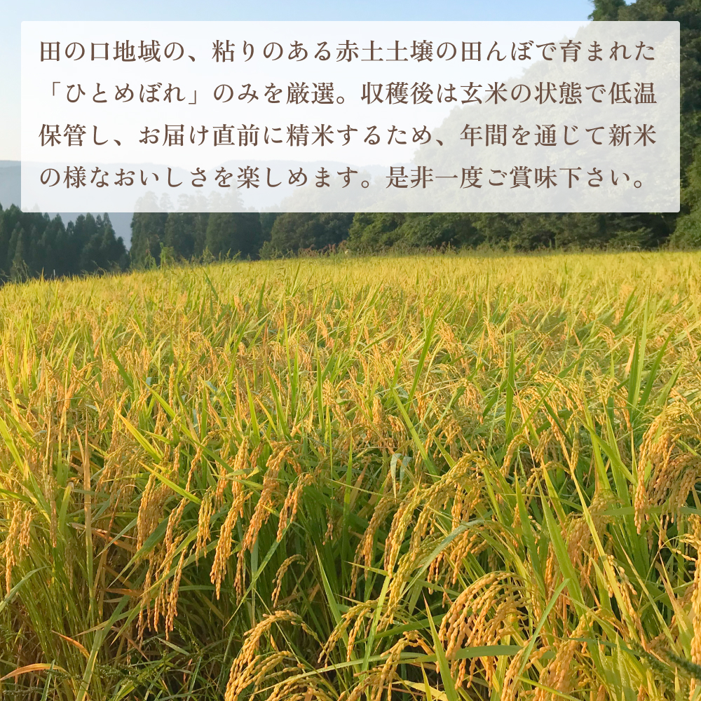 令和7年度  玖珠の献穀米 5kg 米 ひとめぼれ 大分県 玖珠町 こめ お米 白米