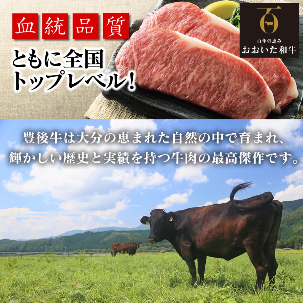 「百年の恵み おおいた和牛」A5しゃぶしゃぶ 800g おおいた和牛 大分県産 黒毛和牛 A5ランク すき焼き用 牛肉 霜降り肉 ロース 肩ロース もも 肩部位 美味しい 高評価 種雄牛 風味 800g A5 等級 玖珠店