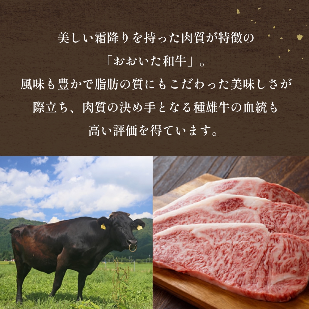「百年の恵み おおいた和牛 」A5 ロースステーキ用 300g×４枚 おおいた和牛 黒毛和牛 A5 ロースステーキ 和牛 牛肉 霜降り 大分 上位等級 風味 種雄牛 血統 食材 ステーキ 高級食材 冷凍 霜降り牛 料理用 贈答品
