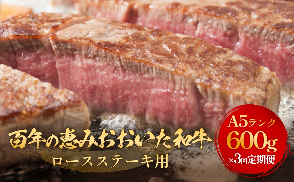 「百年の恵み おおいた和牛 」A5 ロースステーキ用 300g × 2枚 × 3ヶ月 定期便 おおいた和牛 ロースステーキ A5等級 黒毛和牛 大分県産 牛肉 高級肉 霜降り 和牛ステーキ 風味豊か 脂質 種雄牛 血統 高評価 冷凍