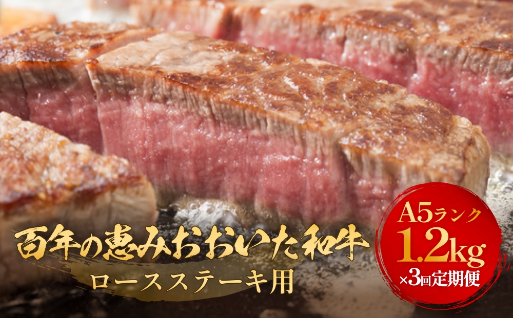 「百年の恵み おおいた和牛 」A5 ロースステーキ用300g × 4枚 × 3ヶ月 定期便 おおいた和牛 ロースステーキ A5等級 黒毛和牛 大分県産 牛肉 高級肉 霜降り 和牛ステーキ 風味豊か 脂質 種雄牛 血統 高評価 冷凍