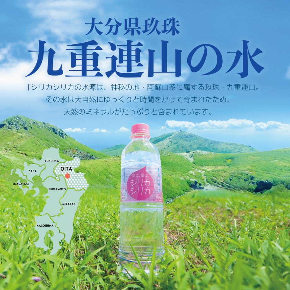 九州天然水 シリカシリカ 500ml×24本 九州 天然水 シリカ シリカ水 500ml 24本 飲料水 軟水 美容 ミネラル 大分県 玖珠町 くじゅう連山 名水百選 ナチュラルミネラルウォーター アクアポリン 肌 髪 コラーゲン ケラチン 秋田県立大学 北川良親 透過性 高含有量