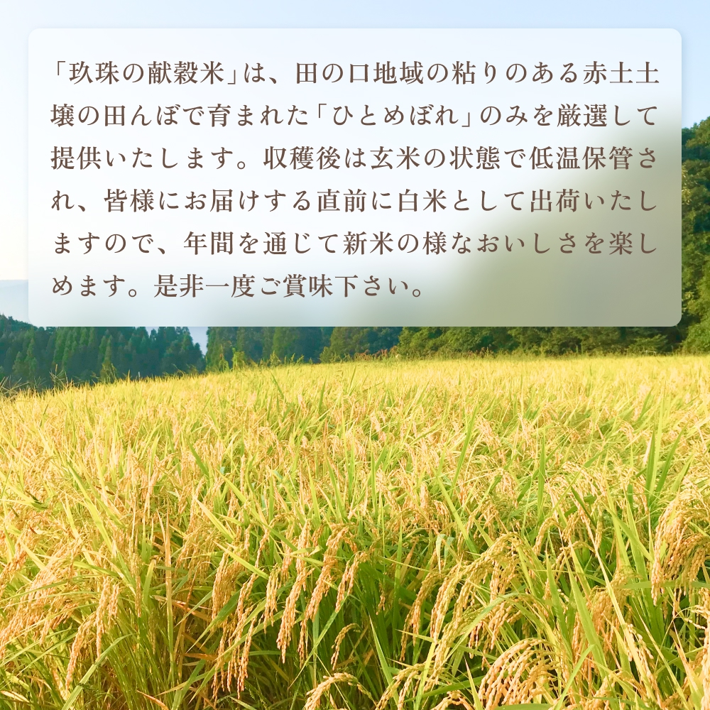 令和7年 玖珠の献穀米 3kg 米 ひとめぼれ 大分県 玖珠町 こめ お米 白米