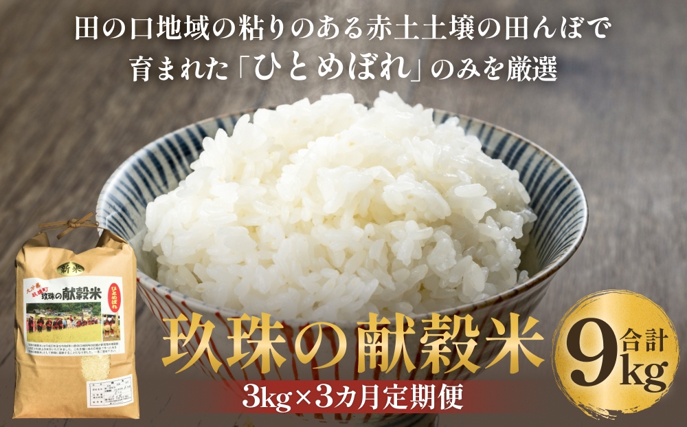 令和7年 玖珠の献穀米 3kg × 3回 定期便 米 ひとめぼれ 大分県 玖珠町 こめ お米 白米 予約 新米