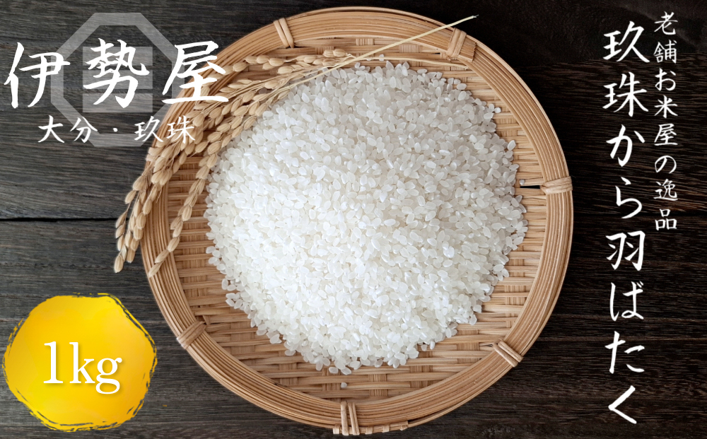 伊勢屋オリジナル 令和7年産 新米 精白米 1kg入【玖珠から羽ばたく】玖珠の老舗お米屋がお届け!