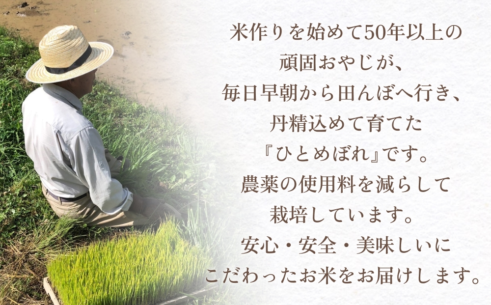 ã 什å7幎 æ°ç±³ 倧åççç ç£ ãç±³ ã²ãšããŒã 2kg ã é åºãããã®ãã ãã ç±³ ( 粟米æžã¿ ) ãã ã³ã¡ ã飯 粟米 ããã¡ã㬠垞枩 倧åç 倧å çç çº çç