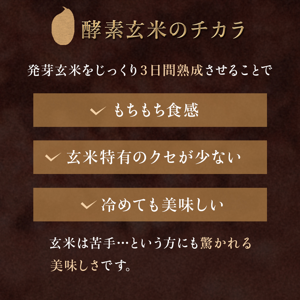 酵素発芽玄米「健やかごはん」6個入 素材にこだわり玖珠米ひとめぼれを使用 玄米 米 ひとめぼれ ご飯 パックご飯 お米 コメ ヒトメボレ 炊飯パック 常温 大分県 大分 玖珠町 玖珠