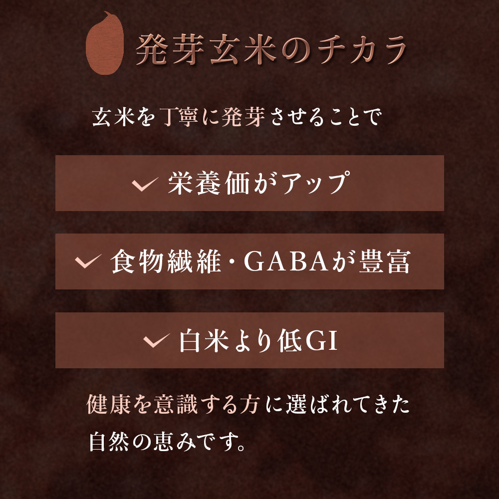 酵素発芽玄米「健やかごはん」30個入 素材にこだわり玖珠米ひとめぼれを使用 玄米 米 ひとめぼれ ご飯 パックご飯 お米 コメ ヒトメボレ 炊飯パック 常温 大分県 大分 玖珠町 玖珠