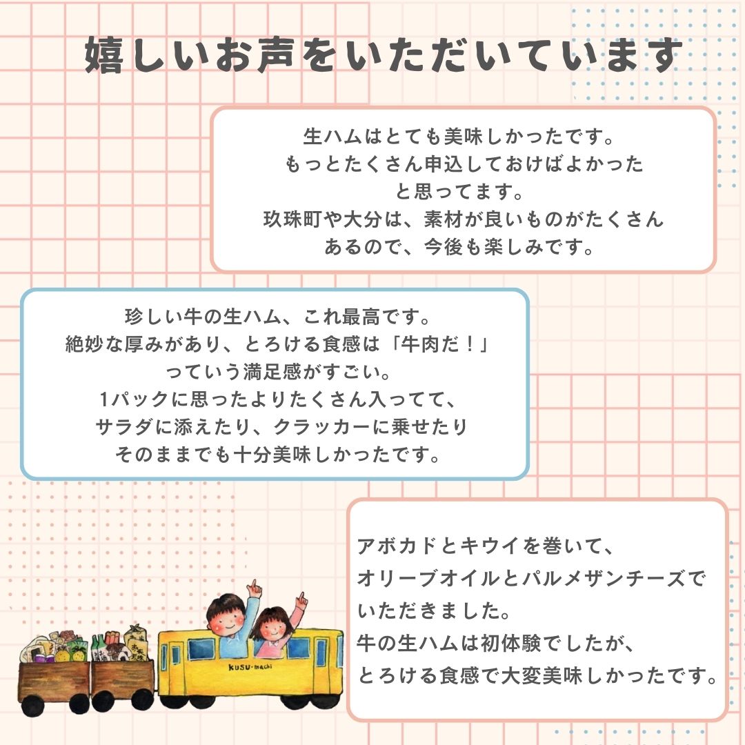 おおいた和牛 生ハム 2400g 50g × 4個 12ヶ月 定期便 国産黒毛和牛 牛肉 もも肉 国産 小分け おかず おつまみ 冷凍 大分県 大分 玖珠町 玖珠