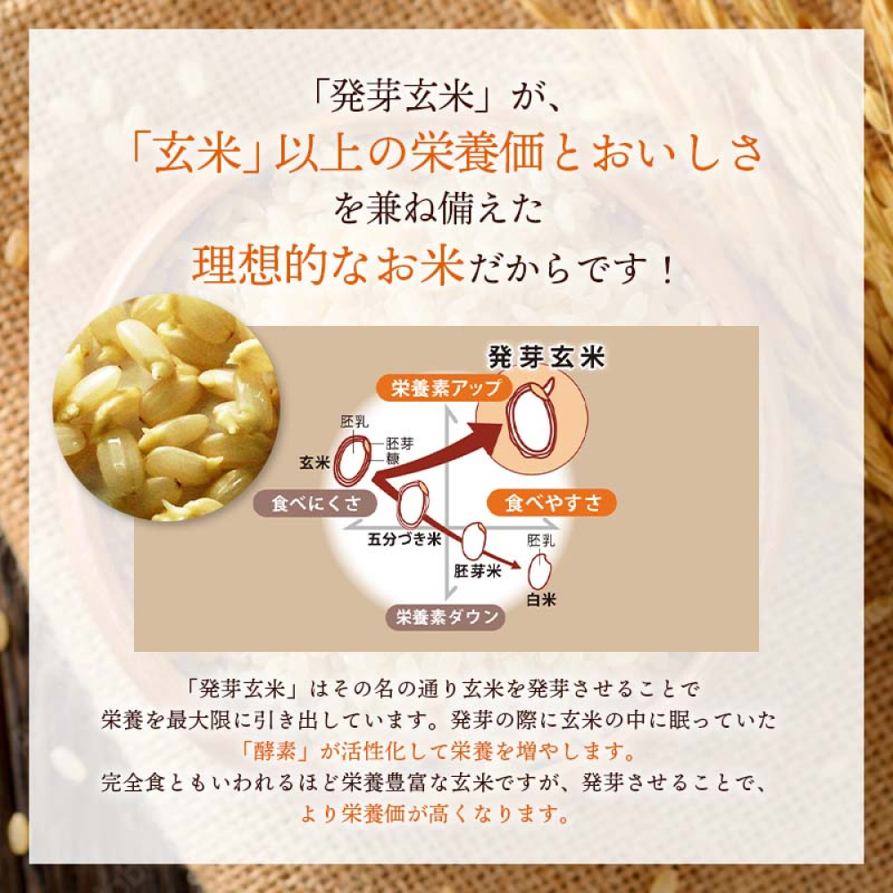 発芽酵素玄米炊飯セット 3合  (450g)  洗わずそのまま炊ける 無洗米 2袋 米 玄米 発芽玄米 酵素 お米 食物繊維 モチモチ お手軽 簡単 大分県 大分 玖珠町 玖珠