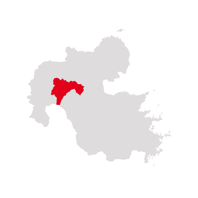 螟ァ蛻逵檎事迴逕コ