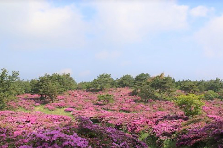 迺ー蠅繧菫晏ィ縲∝ョ牙ソ螳牙ィ縺ョ縺セ縺。縺・縺上j縺ォ髢「縺吶k莠区・ュ