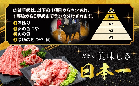 宮崎牛ロースすき焼き＆ロースしゃぶしゃぶ用 合計800g_M144-001