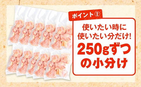 宮崎県産若鶏 モモ切り身 小分けパック 合計2.5kg（250g×10パック）_M144-004