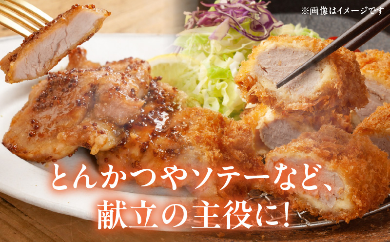 å®®åŽçç£è±è ãã¬åã身 åèš3kg_M144-006