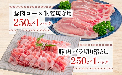 宮崎県産豚肉＆宮崎県産鶏肉バラエティーセット 合計4kg 国産 豚肉 鶏肉 4kg セット 詰め合わせ 食べ比べ 切り落とし 切り落し ミンチ 豚ミンチ 鶏ミンチ ロース 豚ロース 豚バラ ムネ肉 鶏むね むね 鶏むね肉 豚 鶏 肉 切り身 カット済み カット 小分け パック 冷凍 生姜焼き ハンバーグ 唐揚げ グルメ お取り寄せ_M144-007
