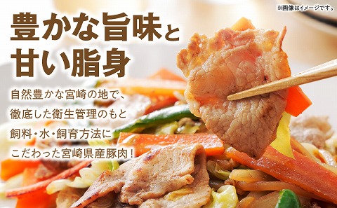 宮崎県産豚肉5種 合計3.6kgセット_M144-010