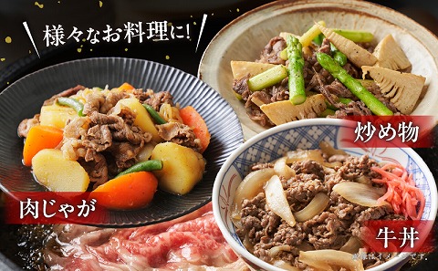 宮崎牛 肩スライス 合計1kg 国産 スライス 1kg 2パック 国産牛 ブランド牛 和牛 カレー 焼肉 すき焼き しゃぶしゃぶ すきしゃぶ 牛丼 肉じゃが 牛肉 牛 肉 小分け パック 冷凍 グルメ お取り寄せ ギフト_M144-011