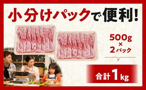 宮崎牛 肩スライス 合計1kg 国産 スライス 1kg 2パック 国産牛 ブランド牛 和牛 カレー 焼肉 すき焼き しゃぶしゃぶ すきしゃぶ 牛丼 肉じゃが 牛肉 牛 肉 小分け パック 冷凍 グルメ お取り寄せ ギフト_M144-011