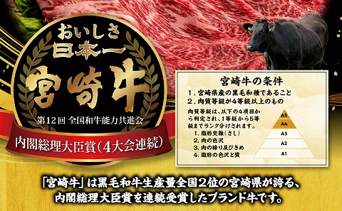宮崎牛 肩スライス 合計1kg 国産 スライス 1kg 2パック 国産牛 ブランド牛 和牛 カレー 焼肉 すき焼き しゃぶしゃぶ すきしゃぶ 牛丼 肉じゃが 牛肉 牛 肉 小分け パック 冷凍 グルメ お取り寄せ ギフト_M144-011