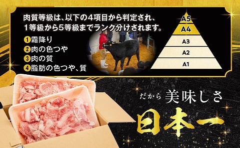 宮崎牛肩ロース切り落とし(すき焼き用) 合計800g 国産 宮崎牛 ブランド牛 国産牛 和牛 肩ロース ロース 切り落とし 切り落し 800g 牛肉 牛 肉 冷凍 小分け パック すき焼き しゃぶしゃぶ すきしゃぶ 肉じゃが グルメ お取り寄せ ギフト_M144-012