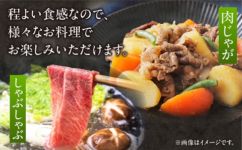 宮崎牛肩ロース切り落とし(すき焼き用) 合計800g 国産 宮崎牛 ブランド牛 国産牛 和牛 肩ロース ロース 切り落とし 切り落し 800g 牛肉 牛 肉 冷凍 小分け パック すき焼き しゃぶしゃぶ すきしゃぶ 肉じゃが グルメ お取り寄せ ギフト_M144-012