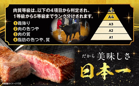 宮崎牛ヒレステーキ 合計300g 国産 宮崎牛 ブランド牛 国産牛 和牛 ヒレ ステーキ 300g ヒレ肉 ヒレ 牛ヒレ 牛ヒレ肉 ヒレステーキ ステーキ肉 牛肉 肉 牛 冷凍 小分け グルメ お取り寄せ ギフト_M144-013