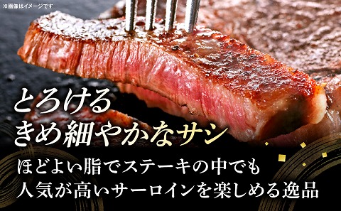宮崎牛サーロインステーキ 合計1kg 国産 宮崎牛 ブランド牛 国産牛 和牛 サーロインステーキ サーロイン ステーキ 1kg 5枚 ステーキ肉 牛肉 肉 牛 冷凍 小分け グルメ お取り寄せ ギフト_M144-014