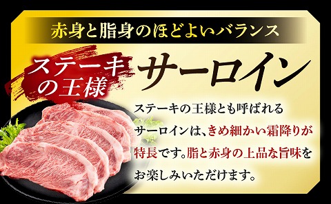宮崎牛サーロインステーキ 合計1kg 国産 宮崎牛 ブランド牛 国産牛 和牛 サーロインステーキ サーロイン ステーキ 1kg 5枚 ステーキ肉 牛肉 肉 牛 冷凍 小分け グルメ お取り寄せ ギフト_M144-014
