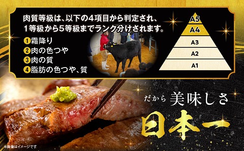宮崎牛サーロインステーキ 合計1kg 国産 宮崎牛 ブランド牛 国産牛 和牛 サーロインステーキ サーロイン ステーキ 1kg 5枚 ステーキ肉 牛肉 肉 牛 冷凍 小分け グルメ お取り寄せ ギフト_M144-014
