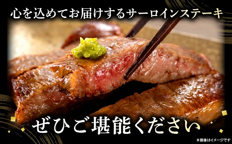 宮崎牛サーロインステーキ 合計1kg 国産 宮崎牛 ブランド牛 国産牛 和牛 サーロインステーキ サーロイン ステーキ 1kg 5枚 ステーキ肉 牛肉 肉 牛 冷凍 小分け グルメ お取り寄せ ギフト_M144-014