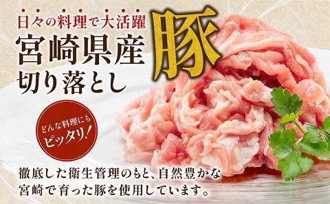 宮崎県産 豚肉 切り落とし 250g×20 合計5kg_M144-016