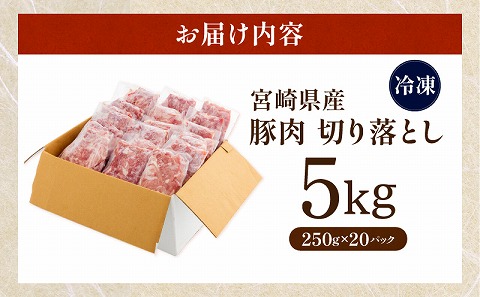 宮崎県産 豚肉 切り落とし 250g×20 合計5kg_M144-016