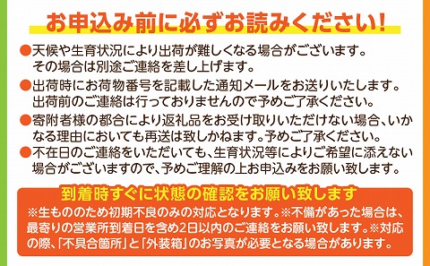 《2025年発送先行予約》【期間・数量限定】宮崎特産品　宮崎県産完熟マンゴー　3L×2個_M275-002