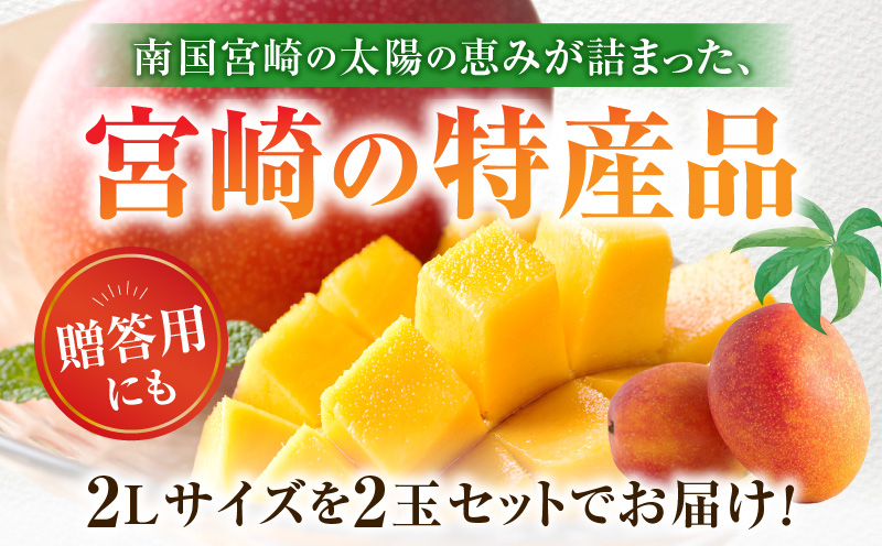 《2026年発送先行予約》【数量・期間限定】宮崎特産品 宮崎県産完熟マンゴー 2L×2玉_M275-001