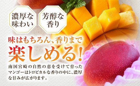 《2026年発送先行予約》【数量・期間限定】宮崎特産品 宮崎県産完熟マンゴー 2L×2玉_M275-001