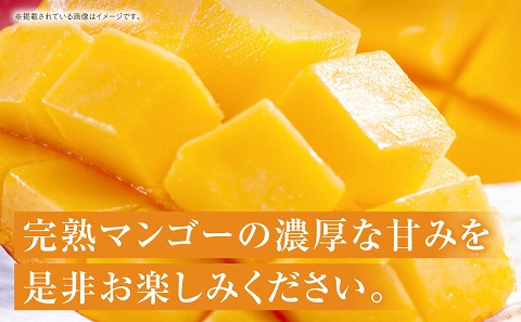 《2026年発送先行予約》【数量・期間限定】宮崎特産品 宮崎県産完熟マンゴー 2L×2玉_M275-001