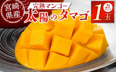 宮崎特産品　宮崎県産完熟マンゴー　太陽のタマゴ　2L×1個