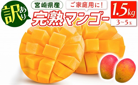《2026年発送先行予約》【数量・期間限定】宮崎特産品「訳あり」宮崎県産完熟マンゴー 1.5kg(3玉～5玉)_M275-005