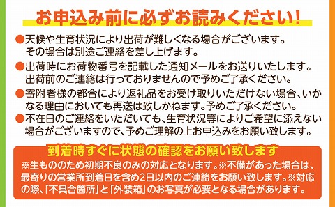 《2025年発送先行予約》【期間・数量限定】太陽のタマゴ3L　2玉_M275-012