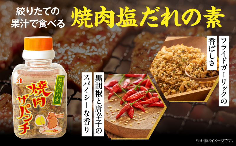 塩だれの素 焼肉ザパンチ 1個 塩だれ 調味料 スパイス 料理 アレンジ 味付け ミックススパイス 焼肉 焼き肉 パスタ 唐揚げ 万能調味料 ガーリック ニンニク アウトドア キャンプ BBQ バーベキュー 特産品 グルメ_M169-001