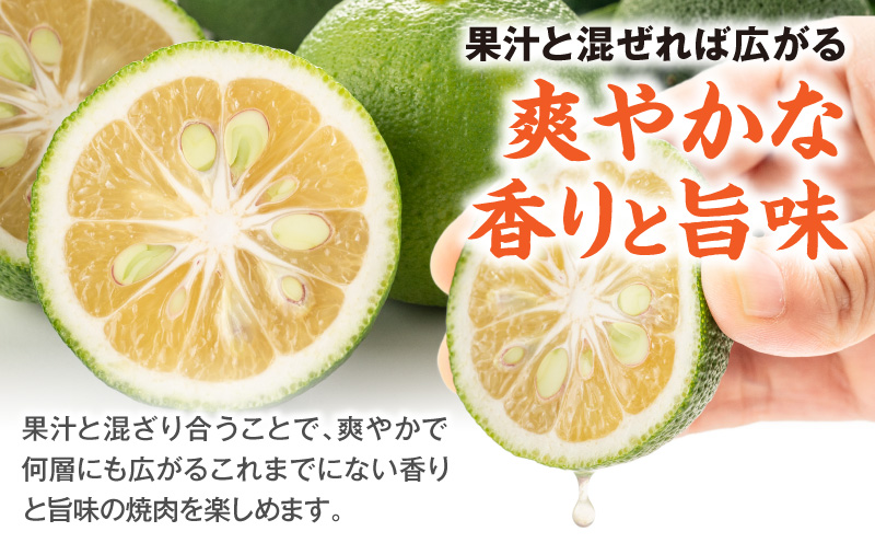塩だれの素 焼肉ザパンチ 1個 塩だれ 調味料 スパイス 料理 アレンジ 味付け ミックススパイス 焼肉 焼き肉 パスタ 唐揚げ 万能調味料 ガーリック ニンニク アウトドア キャンプ BBQ バーベキュー 特産品 グルメ_M169-001