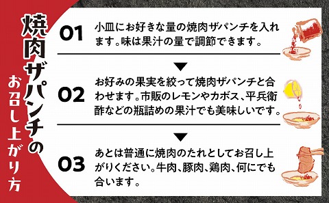 ［焼肉ザパンチ・スパイスザパンチ・粗挽き濃い塩こしょう］3点セット_M169-003