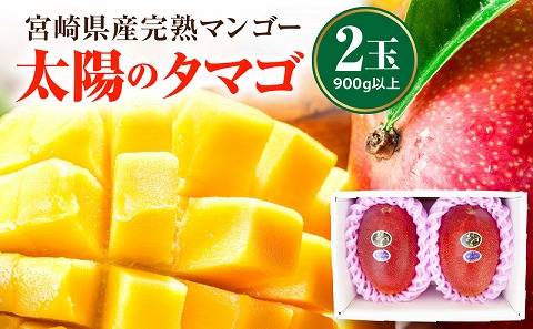 《2026年発送先行予約》【数量・期間限定】宮崎県産完熟マンゴー「太陽のタマゴ」A3L(2玉入り) 国産 マンゴー 太陽のタマゴ ギフト_M056-010