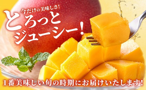 《2026年発送先行予約》【数量・期間限定】完熟マンゴーA3L(2玉入り) 宮崎県産 国産 マンゴー 完熟マンゴー 完熟 A3L 2玉 フルーツ 果物 くだもの デザート 南国 贈答 贈り物 ギフト プレゼント グルメ お取り寄せ_M056-001_17