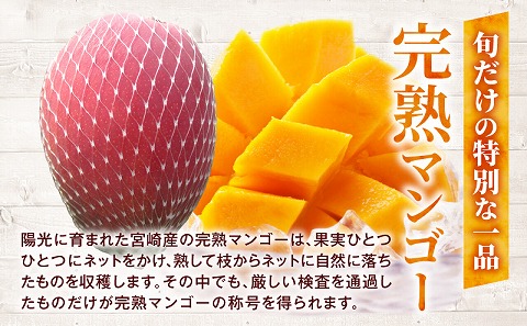 《2026年発送先行予約》【数量・期間限定】完熟マンゴーA3L(2玉入り) 宮崎県産 国産 マンゴー 完熟マンゴー 完熟 A3L 2玉 フルーツ 果物 くだもの デザート 南国 贈答 贈り物 ギフト プレゼント グルメ お取り寄せ_M056-001_17