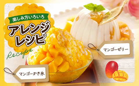 《2026年発送先行予約》【数量・期間限定】完熟マンゴーA3L(2玉入り) 宮崎県産 国産 マンゴー 完熟マンゴー 完熟 A3L 2玉 フルーツ 果物 くだもの デザート 南国 贈答 贈り物 ギフト プレゼント グルメ お取り寄せ_M056-001_17